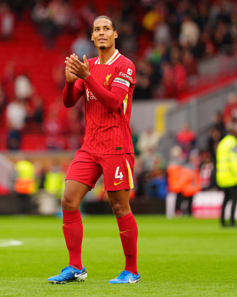 还展现出极 还展现出极