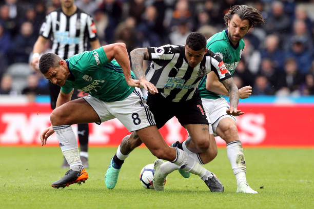 球运动员整 球运动员整