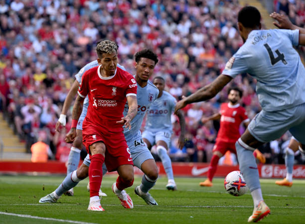 媒体描述的 媒体描述的