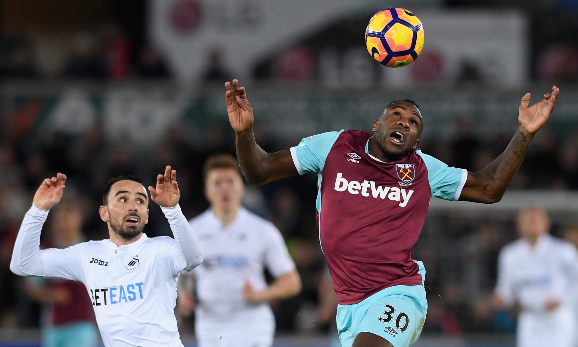 風光之餘 風光之餘